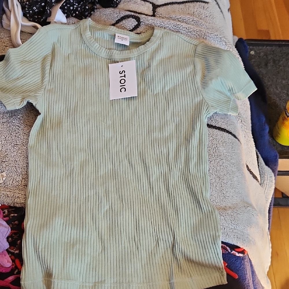 Ribbed Short Sleeve Tee in Light Mint